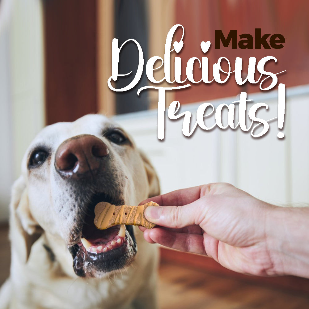 Peanut butter healthy for dogs best sale